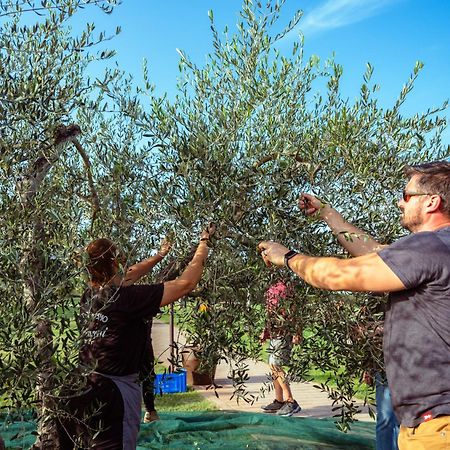 Agriturismo Biologico Diacceroni Villamagna  Экстерьер фото