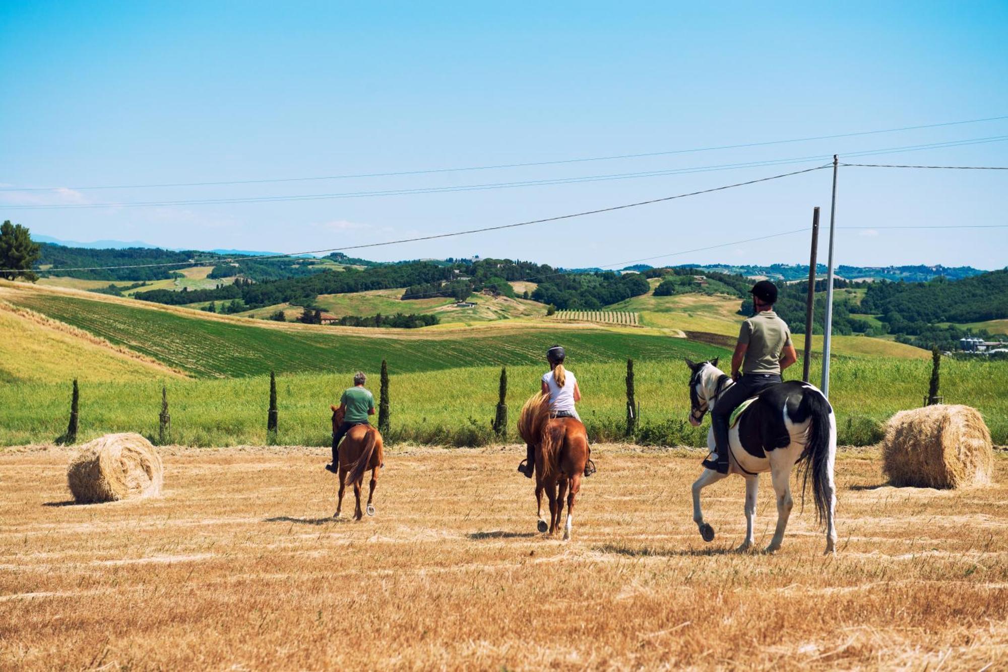 Agriturismo Biologico Diacceroni Villamagna  Экстерьер фото